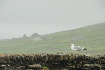 By Slea Head