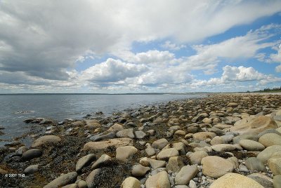 Port Joli Head Trail