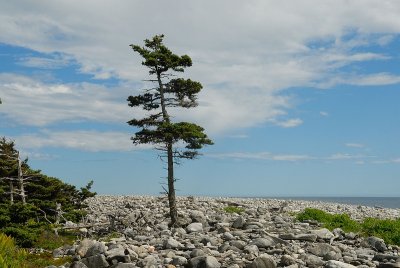Port Joli Head Trail