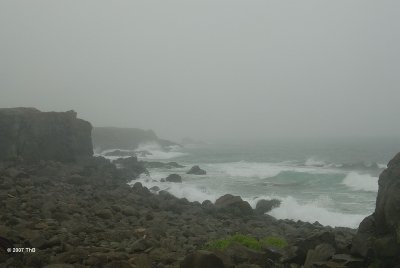 Brier Island