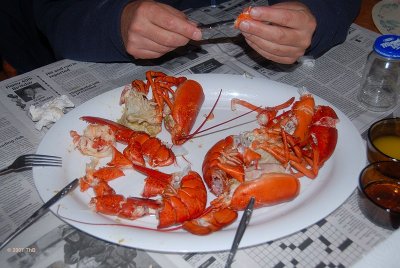 Lobster