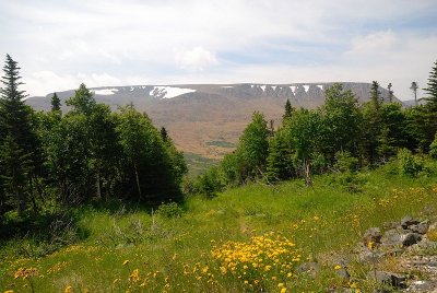 Tablelands