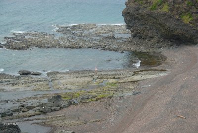 Green Gardens Trail