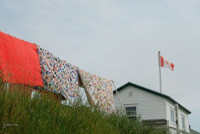 Bonavista