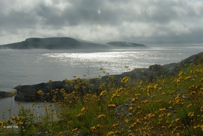 Bauline East , Avalon. The mists of Avalon