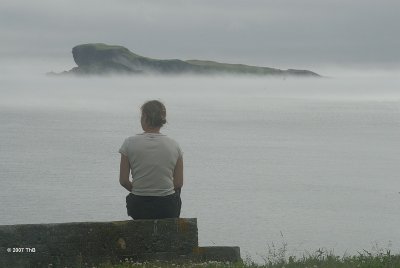 Ferryland, Avalon
