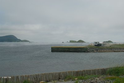 Ferryland, Avalon