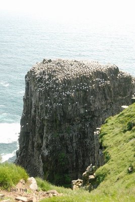 Cape St. Mary