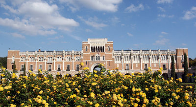 Rice University