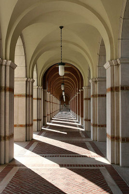 Rice University