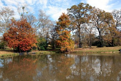 Colorful Fall of TAMU, 2006