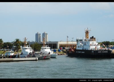 DSC00894.JPG