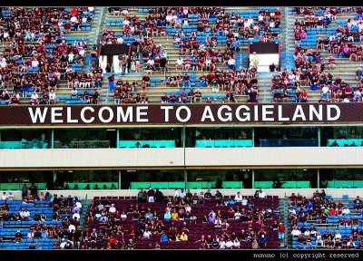 Texas A&M: Aggieland  2006-2008