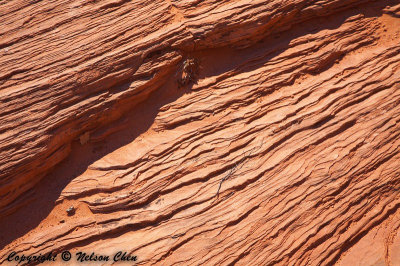 Rock Patterns Closeup