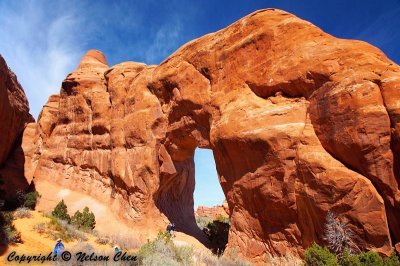 Pine Tree Arch