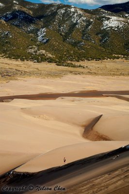 Sand Dunes in March