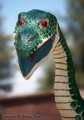 The Happy Dragon