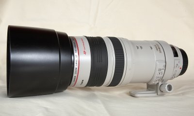 100-400mm f/4.5-5.6L IS with the hood on