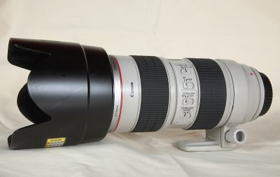 70-200mm f/2.8L IS with the hood on