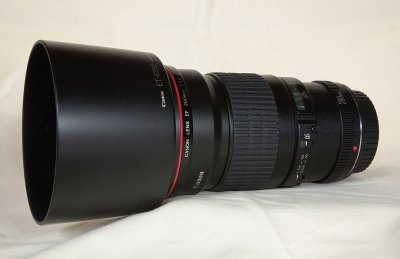 200mm f/2.8 with the hood on