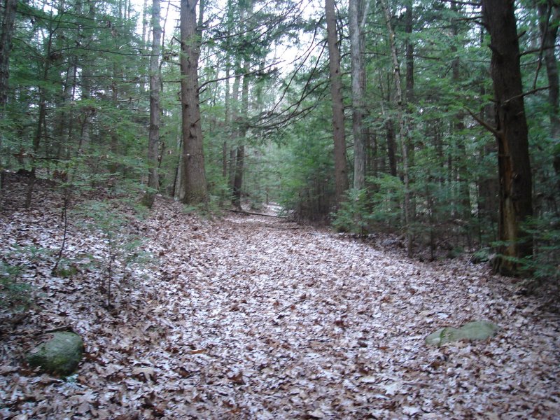 DSC02003.JPG