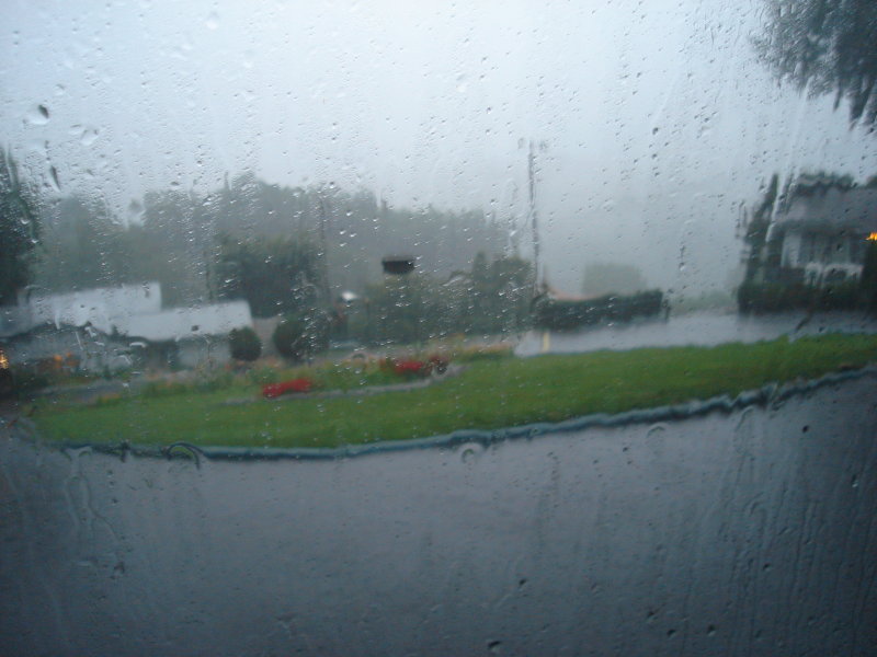 DSC04349.JPG