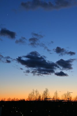 IMG_2910.jpg