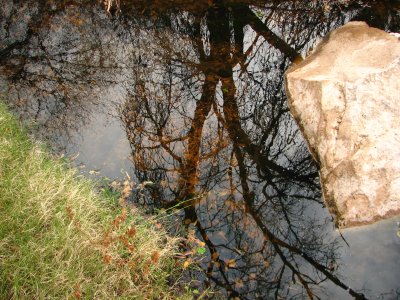 Reflection in Queen Creek