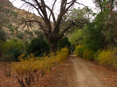 In the canyon - First day of Winter