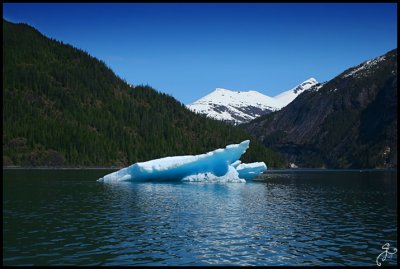 IMG_6699.jpg