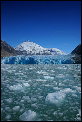 IMG_6866.jpg