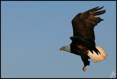 IMG_6446.jpg
