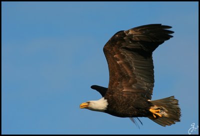 IMG_6473.jpg