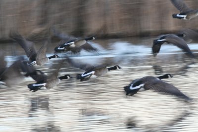IMG_2902.jpg