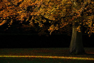 g6/67/680967/3/70406517.WMXaB05s.jpg