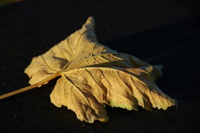 g6/67/680967/3/70406754.N2oECFRv.jpg