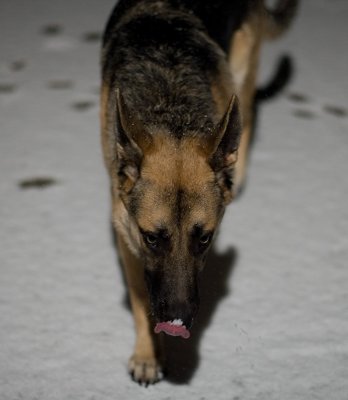 11022006 (030)wb.jpg