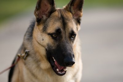 Close Up.jpg