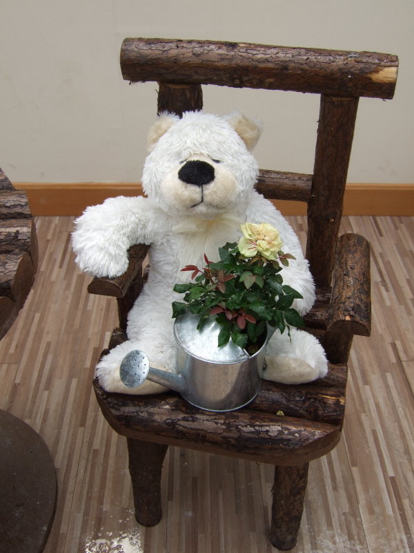 DSCF6318.JPG