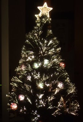 Oh ... Christmas Tree (15-12-2006)