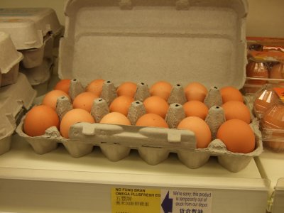 Egg (28-5-2007)