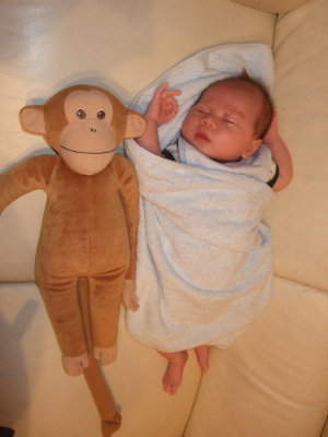 Monkey (12-8-2007)