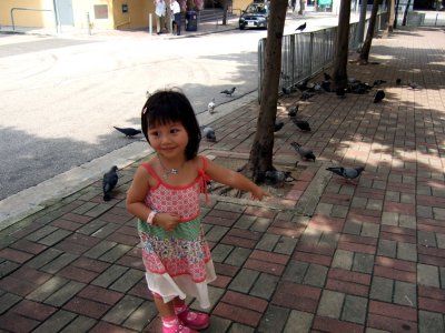 Pigeon (19-8-2007)