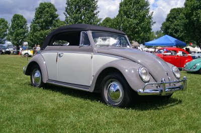 oval window vert.jpg