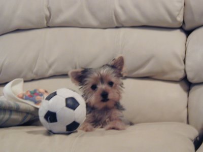 Zoe with her new Soccor Ball