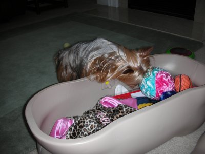 Zoe Digging in her Toy Box