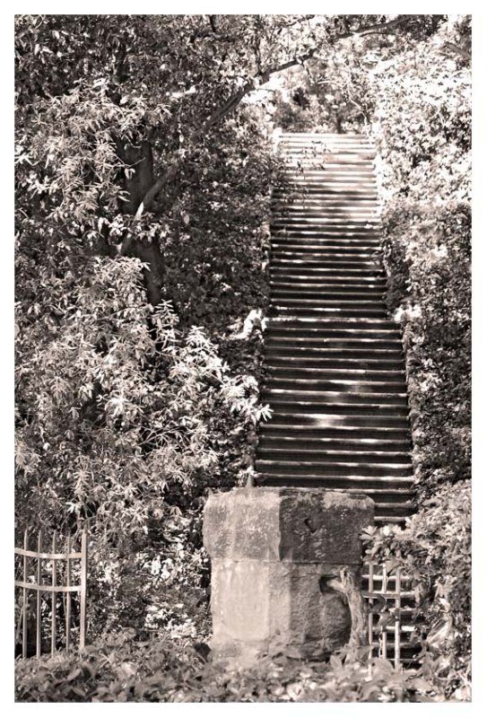 stairs