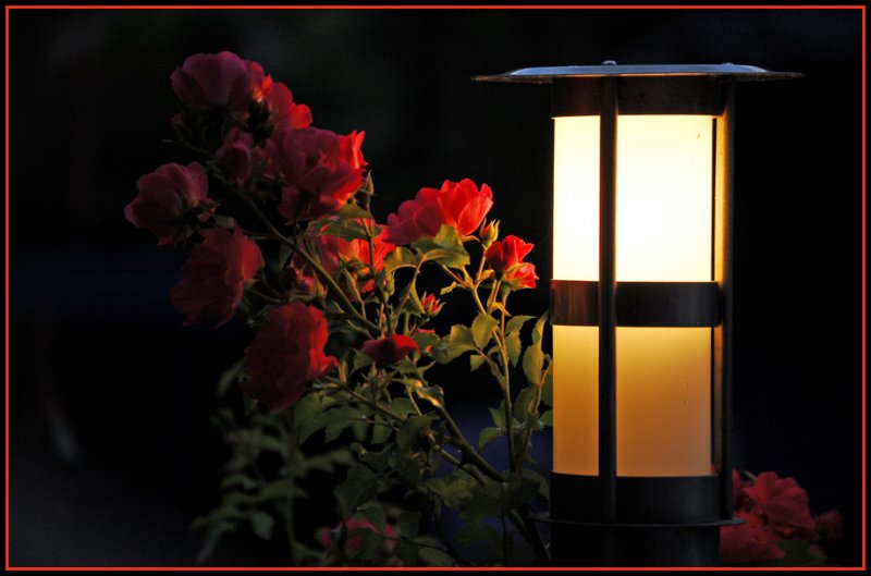 light!