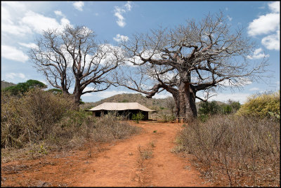 Mkomazi Game Reserve
