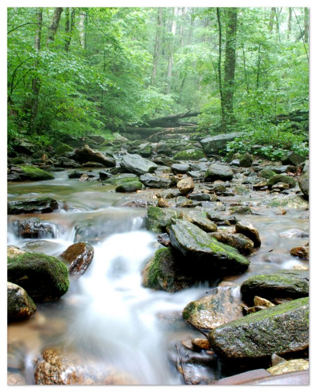 Appalachians